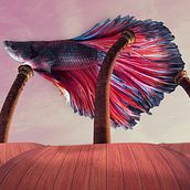 Minha evolução. Un proyecto de Ilustración tradicional y Diseño de Elizabeth Silva Viana - 13.04.2022