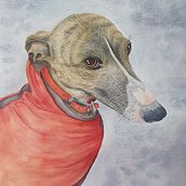 Finn. Traditional illustration, Fine Arts, and Watercolor Painting project by Maria Moss - 04.13.2022