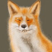 Animal illustrations (Procreate). Un proyecto de Ilustración tradicional de Merja - 11.04.2022