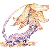 My project for course: Surrealist Illustration Inspired by Nature. Traditional illustration, Pencil Drawing, Drawing, Artistic Drawing, Naturalistic Illustration, and Colored Pencil Drawing project by Nelly Marre - 04.16.2022