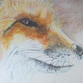 Clever fox. Un proyecto de Pintura, Ilustración tradicional y Artesanía de Yolanda Flaming - 17.04.2022