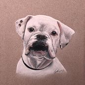 Lula. Un proyecto de Ilustración tradicional, Diseño, Fotografía, Bellas Artes, Pintura, Dibujo a lápiz, Dibujo, Creatividad, Concept Art, Dibujo realista, Dibujo de Retrato y Dibujo artístico de Agatha - 15.04.2022