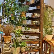Staircase just for plants... Un proyecto de Creatividad, Diseño de interiores, Diseño floral y vegetal de Mihaela - 17.04.2022