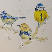 My project for course: Artistic Watercolor Techniques for Illustrating Birds. Ilustração tradicional, Pintura em aquarela, Desenho realista e Ilustração naturalista projeto de Karen Korby - 08.06.2022