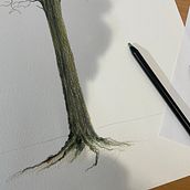 Uma árvore Ein Projekt aus dem Bereich Traditionelle Illustration, Bleistiftzeichnung, Porträtzeichnung, Artistische Zeichnung und Zeichnen mit Buntstiften von Humberto Cesar Pornaro - 18.04.2022