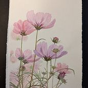 My project for course: Botanical Sketchbooking: A Meditative Approach. Traditional illustration, Sketching, Drawing, Watercolor Painting, Botanical Illustration, and Sketchbook project by kimi_skyblue5 - 04.19.2022