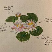 Bujo: beginning the journey. Un proyecto de Ilustración tradicional de Katarina Wikholm - 19.04.2022