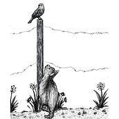 Bird Watching. Traditional illustration, Digital Illustration, Drawing, and Digital Drawing project by Shannon Carter - 04.19.2022