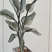 Mon projet du cours : Carnet de croquis : illustrez vos expériences personnelles . % pierroz tarafından hazırlanan Geleneksel illüstras, on, Eskiz çizimi, Çizim, Eskiz defteri, Mürekkep İllüstras, Ve onu projesi - 04.20.2022