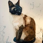 four colour cat. Een project van Craft y  Beeldende kunst van dennismateri - 20.04.2022
