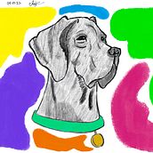 Dog and Color. Un proyecto de Pintura digital e Ilustración tradicional de Angelica H. - 03.04.2022