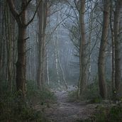Lumber Ein Projekt aus dem Bereich Kreatives Schreiben von Andrew - 21.04.2022