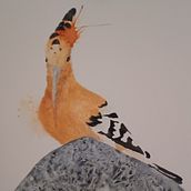 Wendehals mit Spatel Technik. Watercolor Painting project by Carmen Bezençon - 04.22.2022