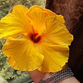 My project for course: Professional Photography for Instagram. Photograph, Marketing, Social Media, Mobile Photograph, Instagram, Instagram Photograph, Lifest, le Photograph, Naturalistic Illustration, Floral, and Plant Design project by Kousanya Dhar - 04.22.2022