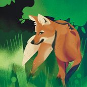 Wildlife Illustration for Children's Books: Maned Wolf - two pages for bastiary. Un proyecto de Ilustración vectorial, Ilustración digital e Ilustración infantil de Émélie Philippe - 23.04.2022