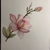 Mi Proyecto del curso: Ilustración botánica con acuarela. Un proyecto de Ilustración tradicional, Bellas Artes, Pintura, Dibujo, Pintura a la acuarela e Ilustración botánica de claudiaaher - 23.04.2022