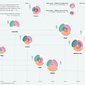 My project for course: Data Visualization and Information Design: Create a Visual Model. Information Design, Interactive Design & Infographics project by Mariska Henseler - 04.24.2022