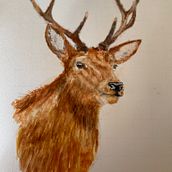 Hert. Traditional illustration project by Karin Maan - 04.24.2022