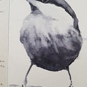 Mon projet du cours : Techniques artistiques d'aquarelle pour illustrer les oiseaux. Traditional illustration, Watercolor Painting, Realistic Drawing, and Naturalistic Illustration project by Sophie - 11.22.2022