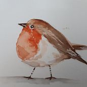 Watercolour Robin. Painting project by Claire Brownlie - 04.25.2022