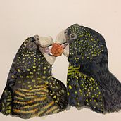 My project for course: Naturalist Bird Illustration with Watercolors. Un projet de Illustration traditionnelle, Aquarelle, Dessin réaliste et Illustration naturaliste de Emma Geary - 25.04.2022