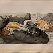 Mon projet du cours : Portraits expressifs d'animaux à l'aquarelle. Traditional illustration, Watercolor Painting, Realistic Drawing, and Naturalistic Illustration project by Helene Trouvé - 04.25.2022
