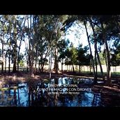 Mi Proyecto del curso: Filmación con drones para proyectos audiovisuales. Film, Video, TV, Film, and Filmmaking project by Ariel Badr - 03.02.2022
