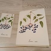 Illustrations botaniques aquarelle et broderie Ein Projekt aus dem Bereich Aquarellmalerei und Stickerei von Pauline Thibaux - 25.04.2022