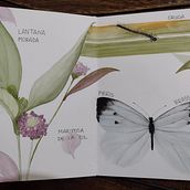 Mi Proyecto del curso: Diario naturalista en acuarela. Traditional illustration, Watercolor Painting, Botanical Illustration, Sketchbook, and Naturalistic Illustration project by Jimena ... - 04.27.2022