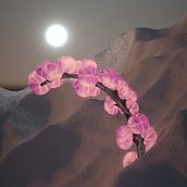 Mi Proyecto del curso: Animación 3D: crea una escena vegetal en Cinema 4D . Grafică în mișcare, 3D, Animație, Direcția artistică, animație 3D și modelare 3D de Caro Lacanna - 04.27.2022