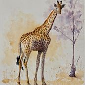 My project for course: Expressive Animal Portraits in Watercolor. Un projet de Illustration traditionnelle, Aquarelle, Dessin réaliste et Illustration naturaliste de lfox249 - 25.04.2022