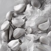 Still life Ein Projekt aus dem Bereich Artistische Fotografie und Fotoretuschierung von Jane Gonzalez - 28.04.2022