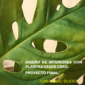 Diseño de interiores con plantas desde cero. Proyecto Final.. Interior Design, L, scape Architecture, Decoration, Interior Decoration, DIY, Floral, Plant Design, and Spatial Design project by Juan Daniel Siliceo - 04.29.2022