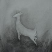 Il mio progetto del corso: Illustrare la natura: esplorazione creativa. Traditional illustration, Painting, Drawing, Watercolor Painting, Ink Illustration, and Naturalistic Illustration project by Martina Scarlata - 05.01.2022