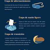 Infografía OHM - El ciclo del sueño. Projekt z dziedziny Projektowanie graficzne, Cop i writing użytkownika María del Mar Llorente Molina - 01.05.2022