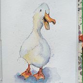 Il mio progetto del corso: Acquerello artistico per illustrazione di animali: gli uccelli. Traditional illustration, Watercolor Painting, Realistic Drawing, and Naturalistic Illustration project by alessandra - 05.02.2022