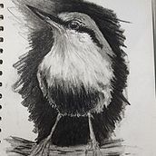 My project for course: Artistic Watercolor Techniques for Illustrating Birds-Tonal Drawing. Un proyecto de Dibujo de MARIE SULLENS - 01.05.2022