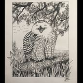 Ilustrando ando. Un projet de Esquisse , Dessin, Dessin artistique, Carnet de croquis, Illustration à l'encre et Illustration naturaliste de Yessica Leaño - 05.05.2022