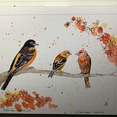 My project for course: Artistic Watercolor Techniques for Illustrating Birds. Traditional illustration, Watercolor Painting, Realistic Drawing, and Naturalistic Illustration project by lilylynn - 05.04.2022