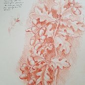 Mon projet du cours : Portrait classique : la méthode du génie universel de la Renaissance. Fine Arts, Sketching, Drawing, Portrait Drawing, Realistic Drawing, and Artistic Drawing project by Sophie - 07.15.2022