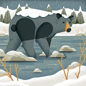 Black Bear of Wisconsin. Un proyecto de Ilustración tradicional de laurenparra22 - 05.05.2022