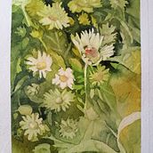 Il mio progetto del corso: Creazione di palette di colore con acquerello. Un progetto di Illustrazione tradizionale, Belle arti, Pittura, Pittura ad acquerello e Teoria del colore di patrizia_bartolini62 - 08.05.2022