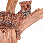 jaguar. Een project van Traditionele illustratie van JOVI CÁRDENAS BENAVIDES - 05.05.2022