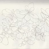 My project for course: Botanical Sketchbooking: A Meditative Approach . % Vicky Hawkins tarafından hazırlanan Geleneksel illüstras, on, Eskiz çizimi, Çizim, Sulubo, a Resim, Botanik İllüstras, on, Ve Eskiz defteri projesi - 05.11.2022