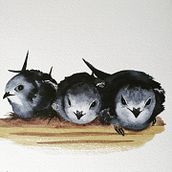 My earlier projects.... Un proyecto de Pintura a la acuarela de Joanna Jarzębska - 11.05.2022