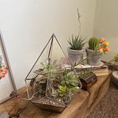 Mi proyecto del curso: Creación de terrarios con la técnica Tiffany Ein Projekt aus dem Bereich Erweiterungsentwicklung, Innendesign, Dekoration von Innenräumen, DIY und Blumen- und Pflanzendesign von natalia_mattmann - 08.05.2022