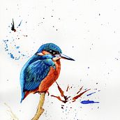 Mein Kursprojekt: Ausdrucksstarke Tierporträts in Aquarell. Un projet de Illustration traditionnelle, Aquarelle, Dessin réaliste et Illustration naturaliste de Hagen Reunitz - 13.05.2022