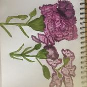 My project for course: Botanical Sketchbooking: A Meditative Approach. Een project van Traditionele illustratie,  Schetsen,  Tekening, Aquarelschilderen,  Botanische illustratie y Sketchbook van deirdreward04 - 14.05.2022