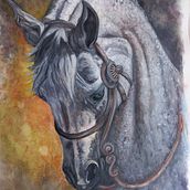 Cavalo Árabe. Traditional illustration project by Eliane da Silva Littger - 04.28.2022