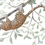 Mi proyecto del curso: Ilustración científica de animales en acuarela. Un progetto di Illustrazione tradizionale, Pittura ad acquerello, Disegno realistico e Illustrazione naturalistica di Tania Santiago - 14.05.2022